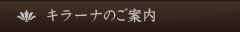 キラーナのご案内